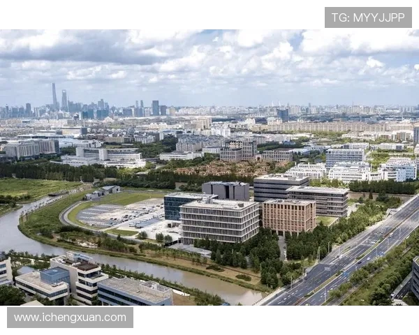 聚焦中国最年轻企业家崛起力量与创新传奇之路的时代奋斗篇章新篇